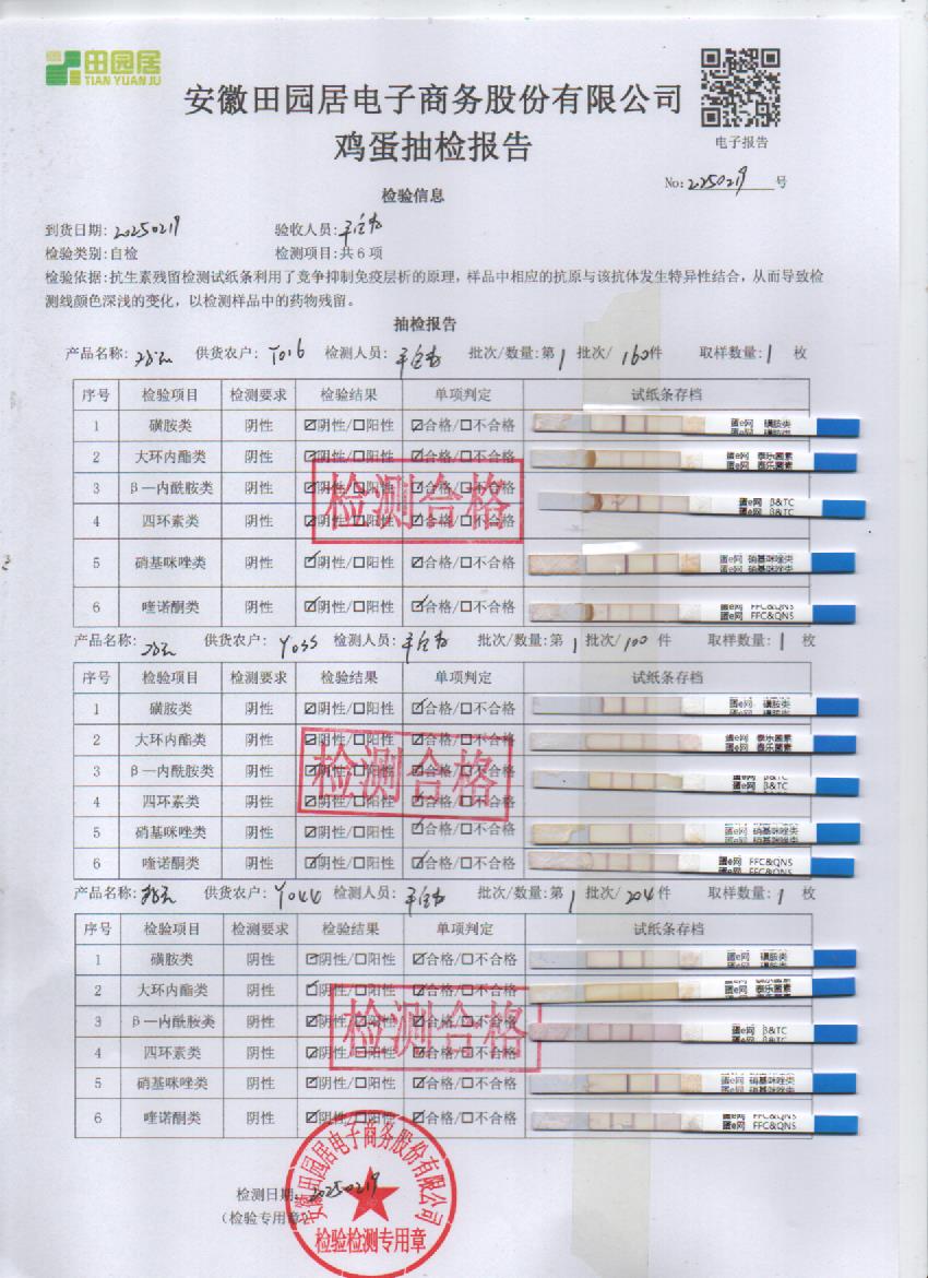 2025年2月19号鲜鸡蛋检测报告