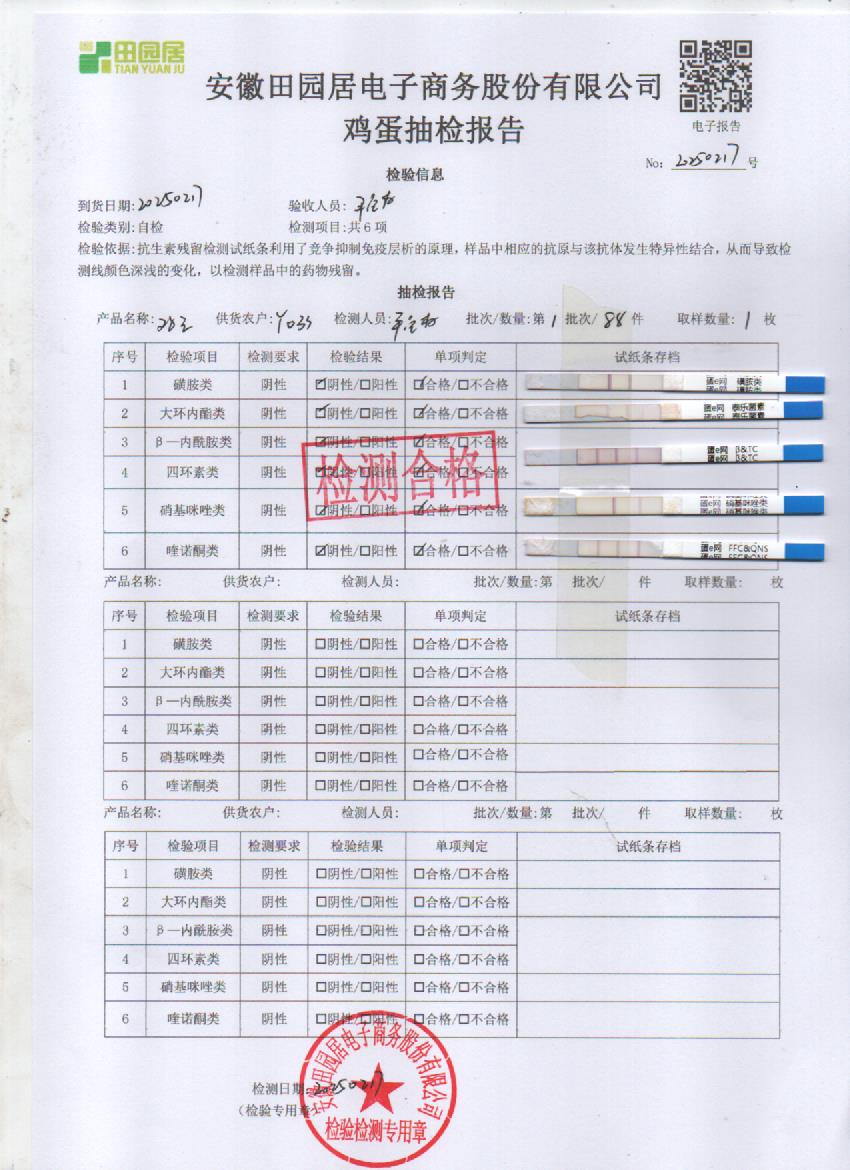 2025年2月17号鲜鸡蛋检测报告