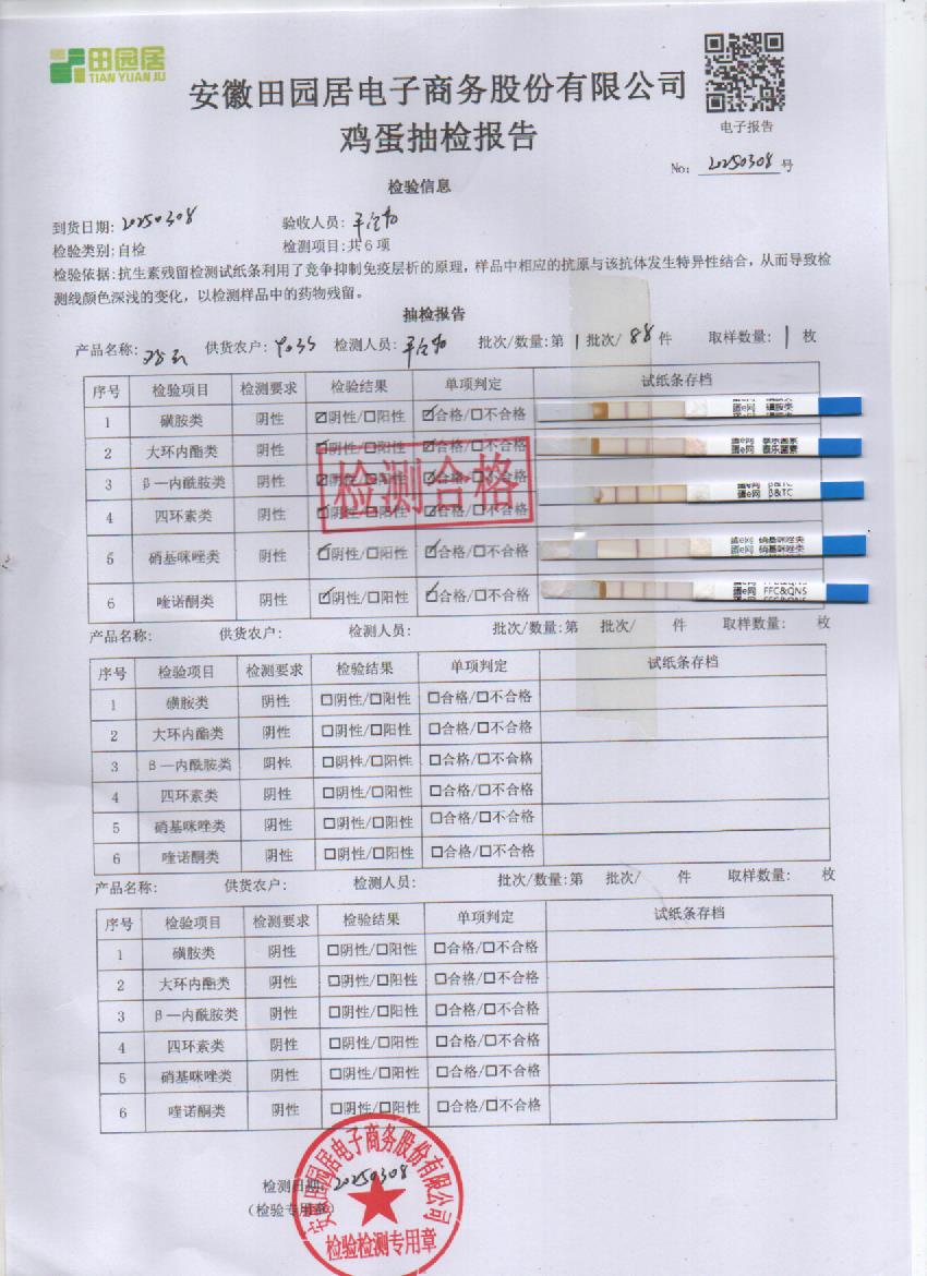 2025年3月8号鲜鸡蛋检测报告