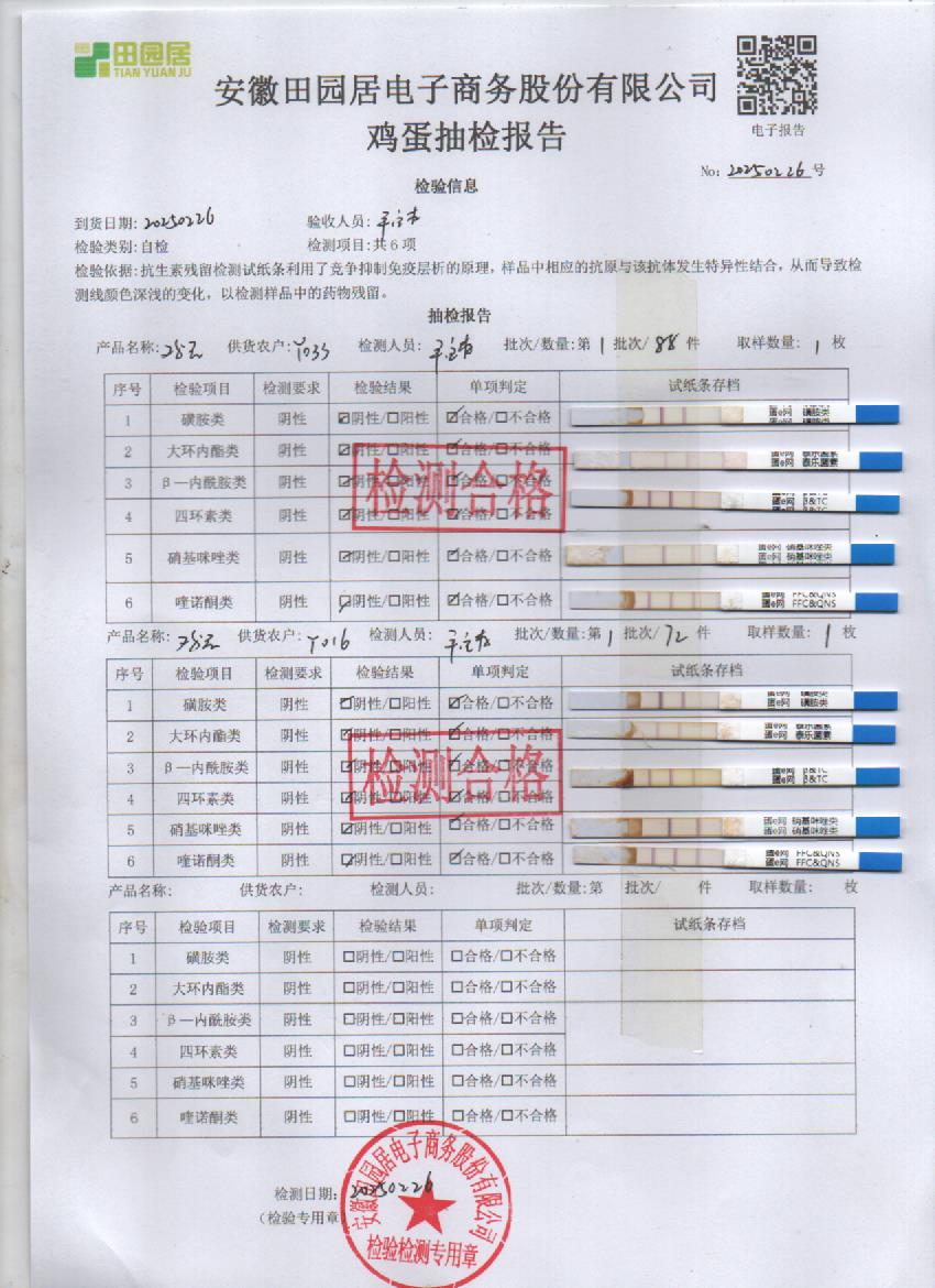 2025年2月26号鲜鸡蛋检测报告