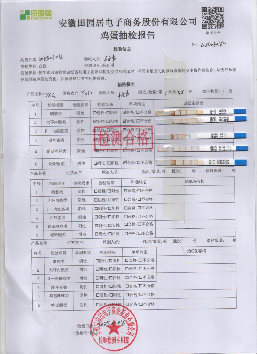 2025年3月4号鲜鸡蛋检测报告