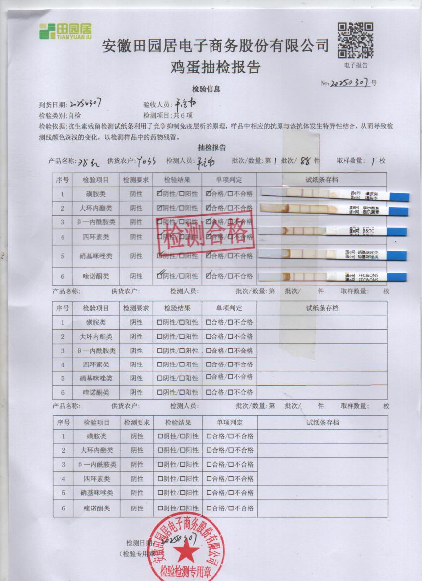 2025年3月7号鲜鸡蛋检测报告