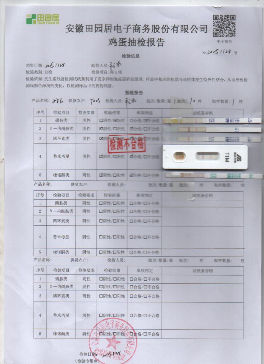 2025年11月28号鲜鸡蛋检测报告