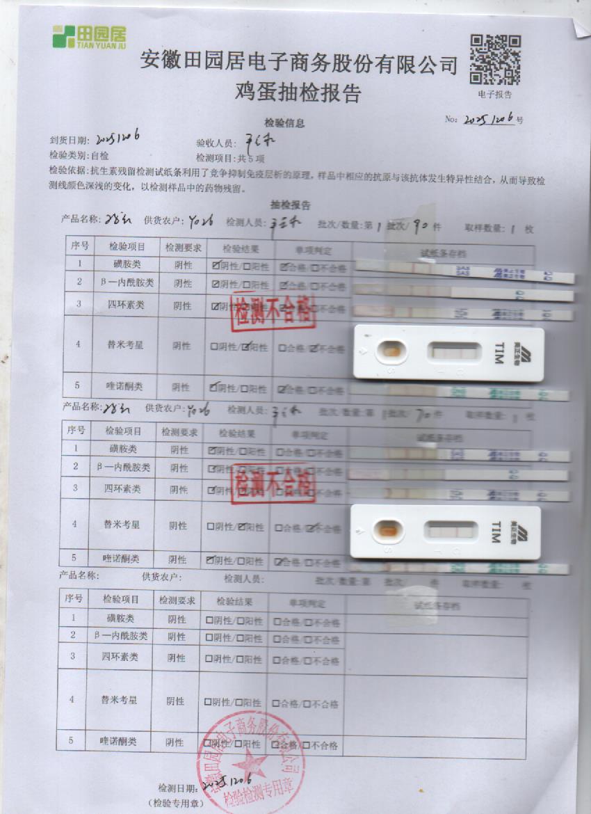 2025年12月6号鲜鸡蛋检测报告